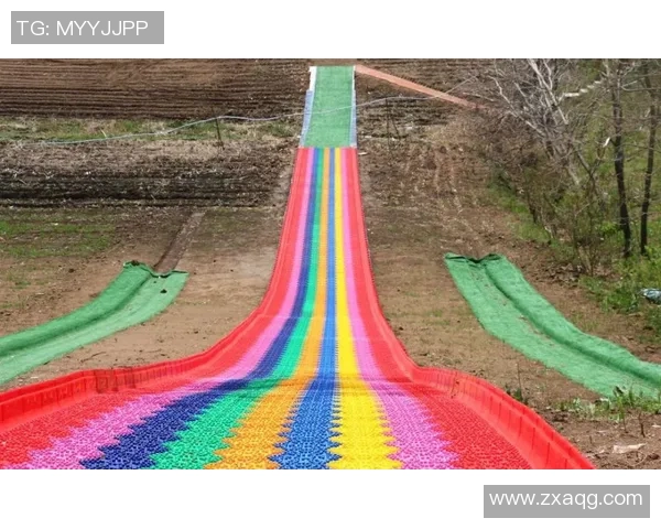 足球球星卡金框市场价格分析及投资潜力探讨 足球球星卡金框市场价格分析及投资潜力探讨